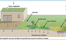 Pedagogical manuals about storm water management