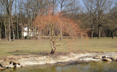 Renovation of the sewerage network and the pond, Montgresin, France