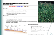 Study on the vegetation of stormwater basins - phytoremediation